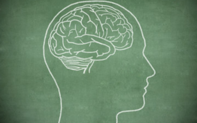 Exercise and Concussion Recovery/Return to School and Physical Activity