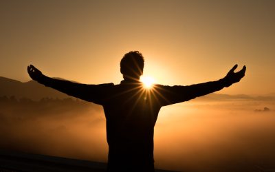 Medical Marijuana, Mindfulness, Exercise and other non-pharmacologic treatments after Brain Injury: updates in 2020